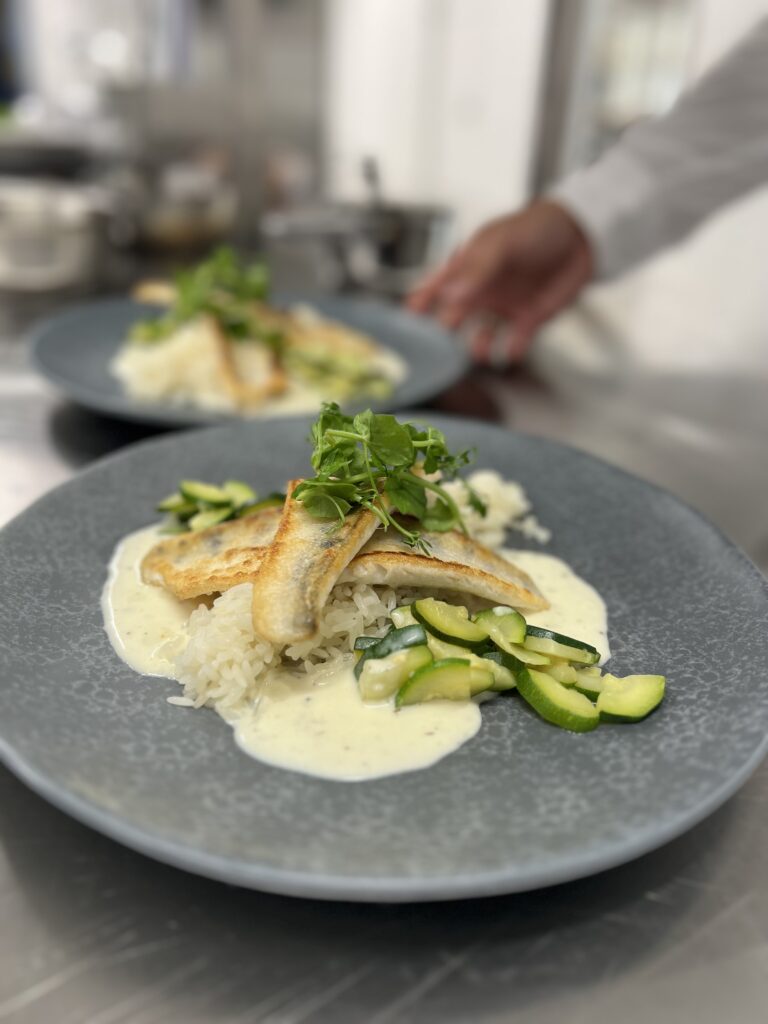 Teller mit schön angerichtetem Essen